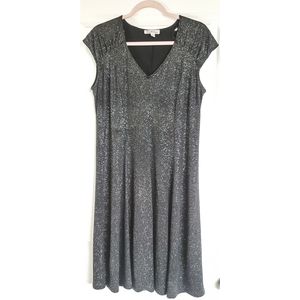 Sparkly Black A-Line Mini Dress